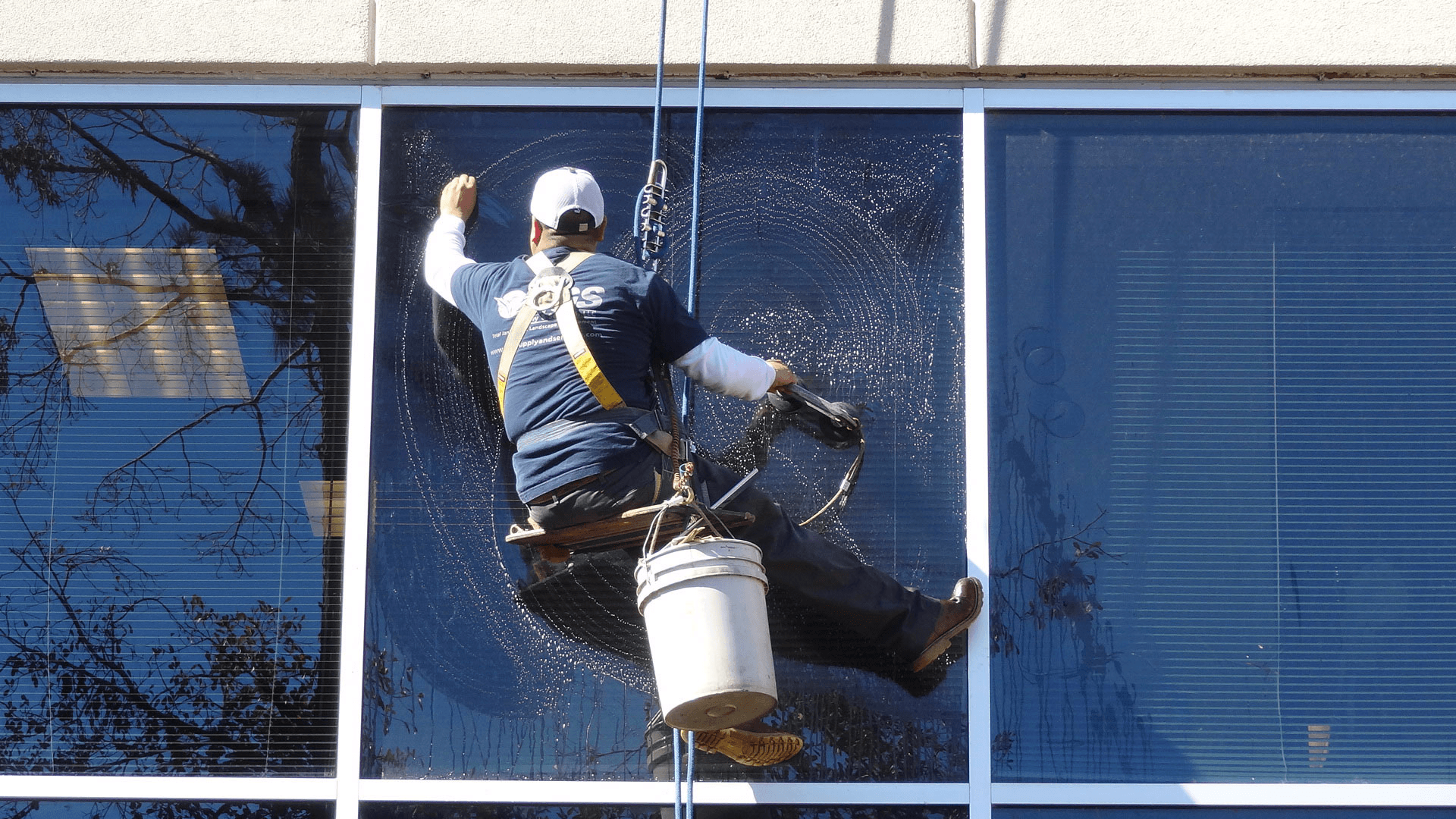 Window Cleaning Services