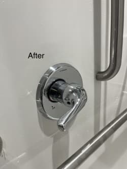Shower Handle — Detail Clean - After