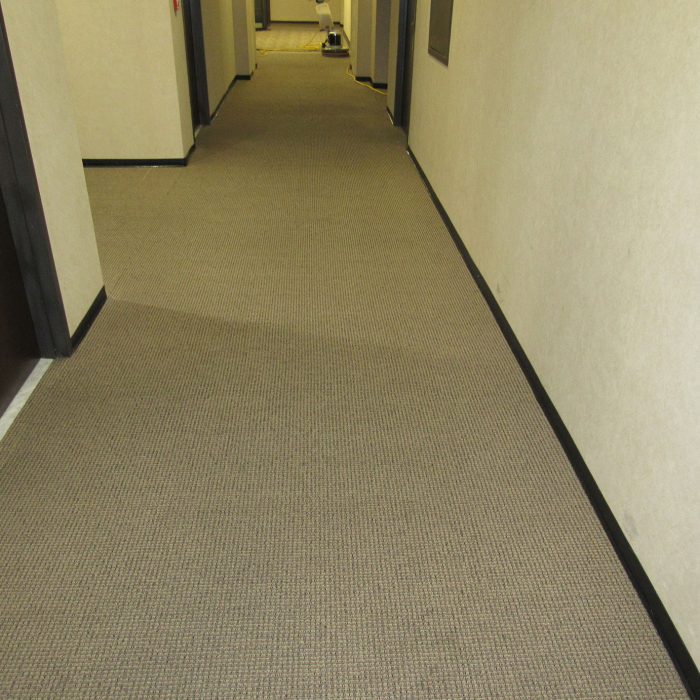 MGS_Supply_And_Services_Gallery-Carpet-4